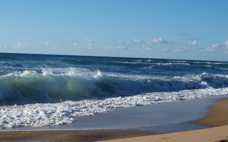 Praia dos Coxos 3
