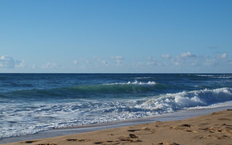 Praia dos Coxos 1