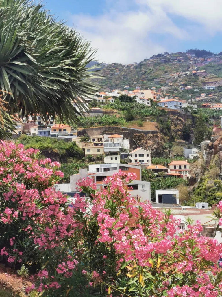 Camara de Lobos Aussicht