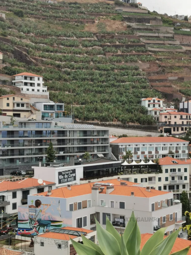 Camara de Lobos - Dorf