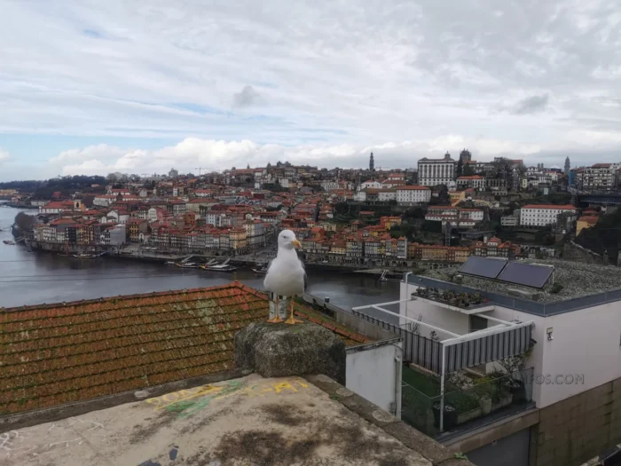 portugal_porto_dez2022_003